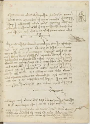 Fuglers flykode, c. 1505-06, papirmanuskript, cc. 18, ark 5 recto
